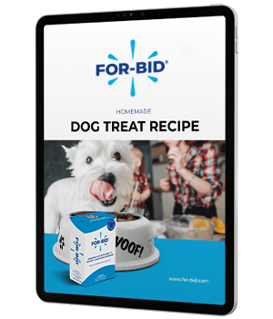 For Bid Homemade Dog Treat Recipe