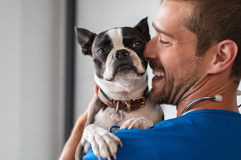 Build Your Pets Bond with Their Veterinarian For Bid